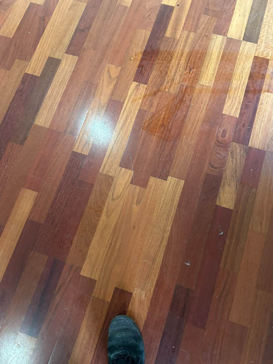 Pre sale move in cleaning