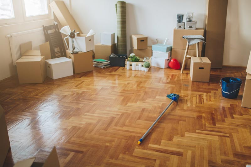 Pre-Sale / Move-in Cleaning
